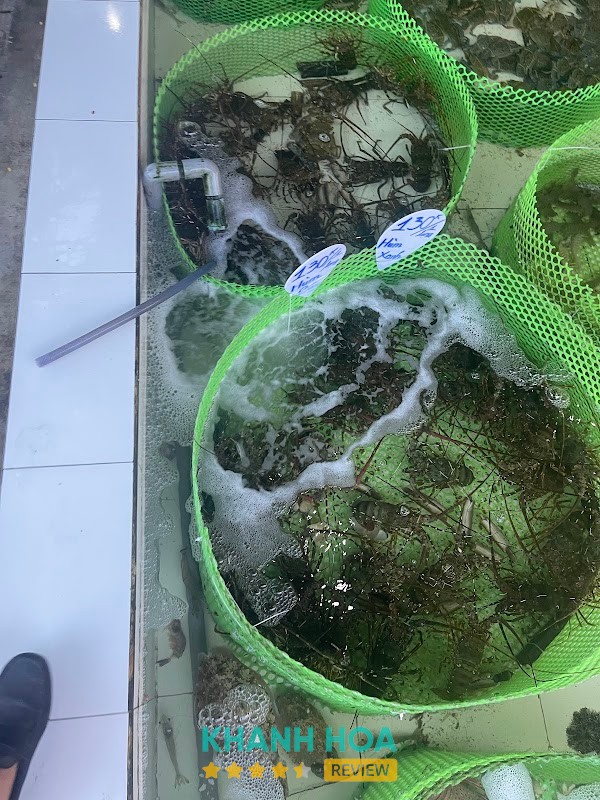 Món hải sản tại Bến Cảng Nam Nha Trang