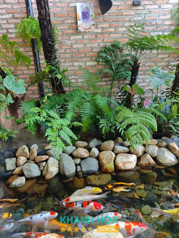 Cafe Mỹ Gia Koi – hình ảnh 3