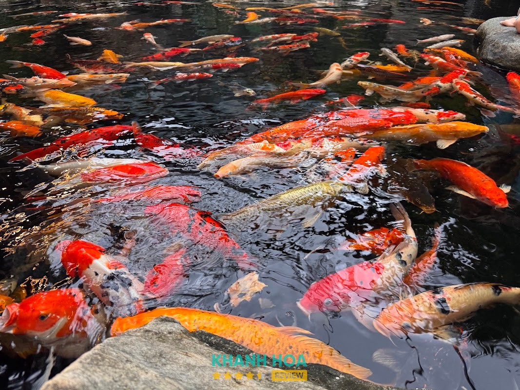 Koi Garden Cafe – hình ảnh 3