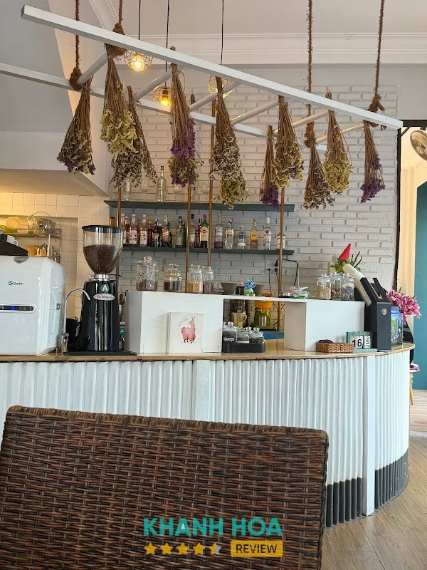 Alpaca – hình ảnh 1