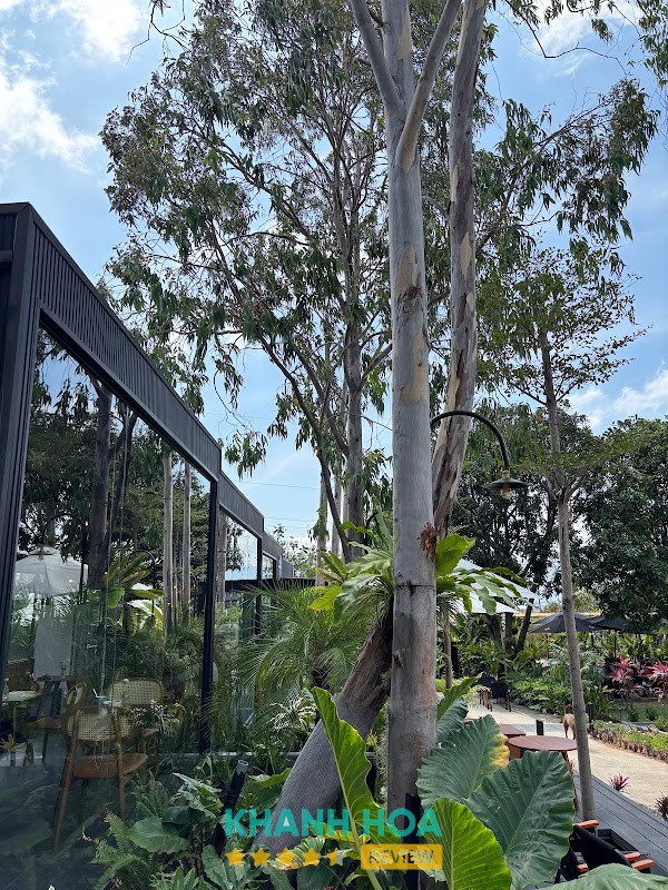 Một Điều Tự Nhiên – hình ảnh 3