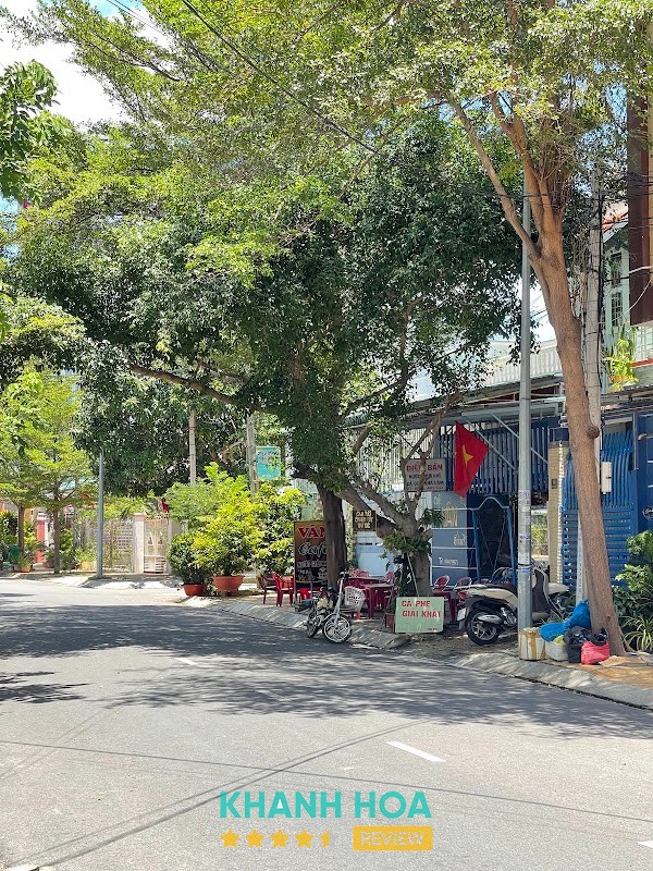 Cà phê Ninh Chữ Cây Sanh - hình ảnh 2