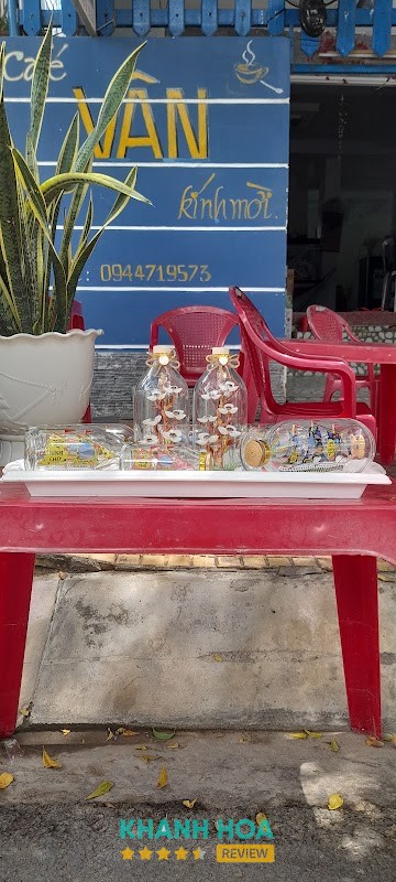 Cà phê Ninh Chữ Cây Sanh - hình ảnh 3