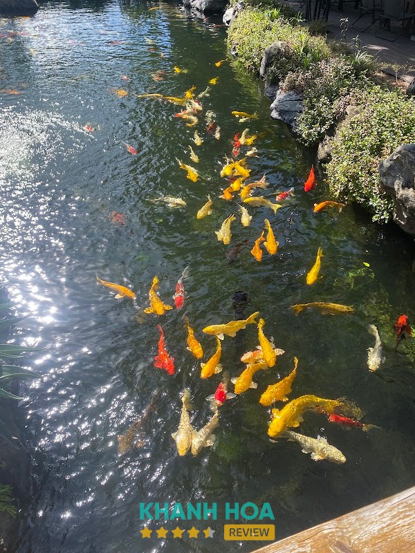 The May – hình ảnh 3