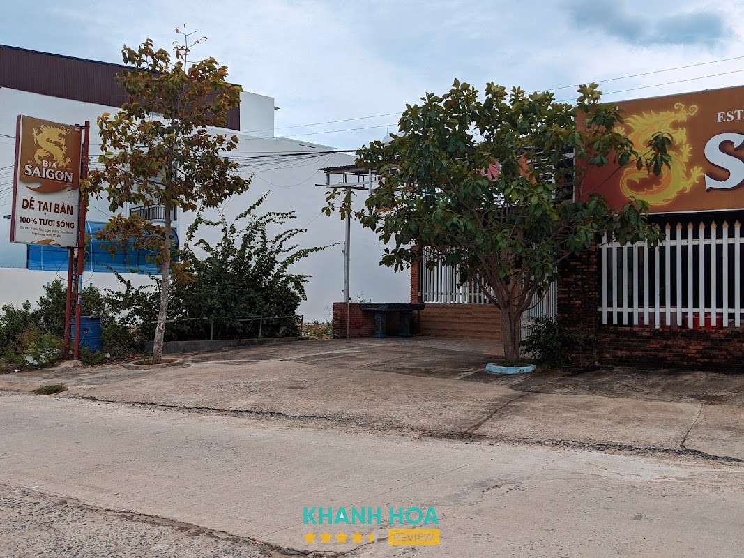 DÊ TẠI BÀN – hình ảnh 1
