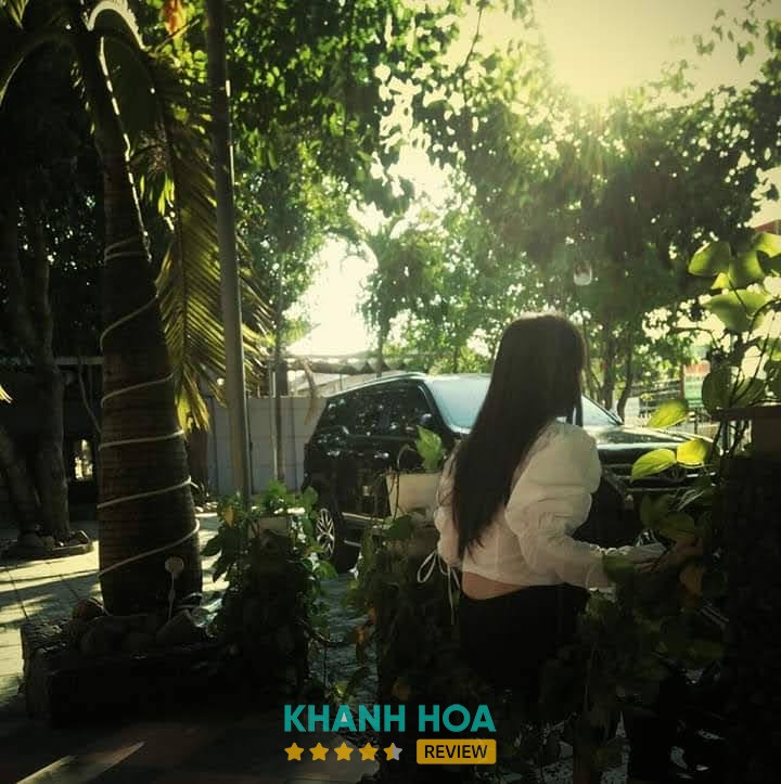 Dê Tại Bàn 2 – hình ảnh 2