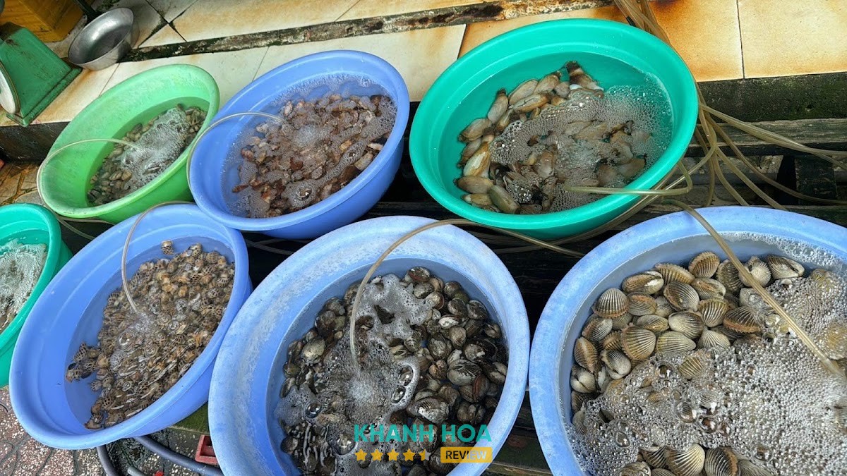 Hải Sản Uyên – hình ảnh 3
