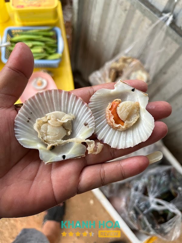 Xóm Ốc 2 Đông Hải – hình ảnh 3