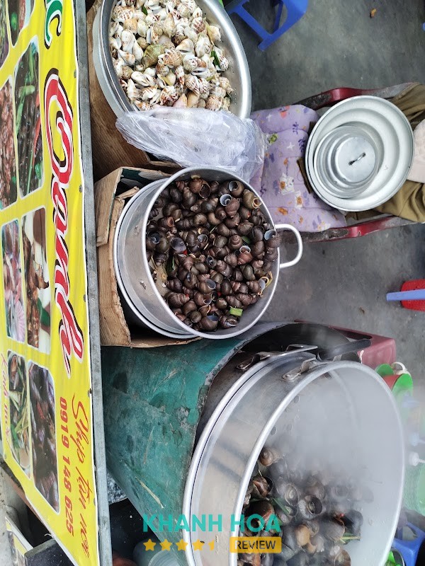 Ốc Bưu Lề Đường Quán Ốc Oanh Ninh Chử – hình ảnh 3