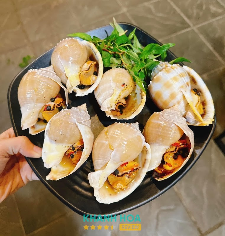 Ốc T&H Ninh Hòa Ninh Hòa – hình ảnh 2