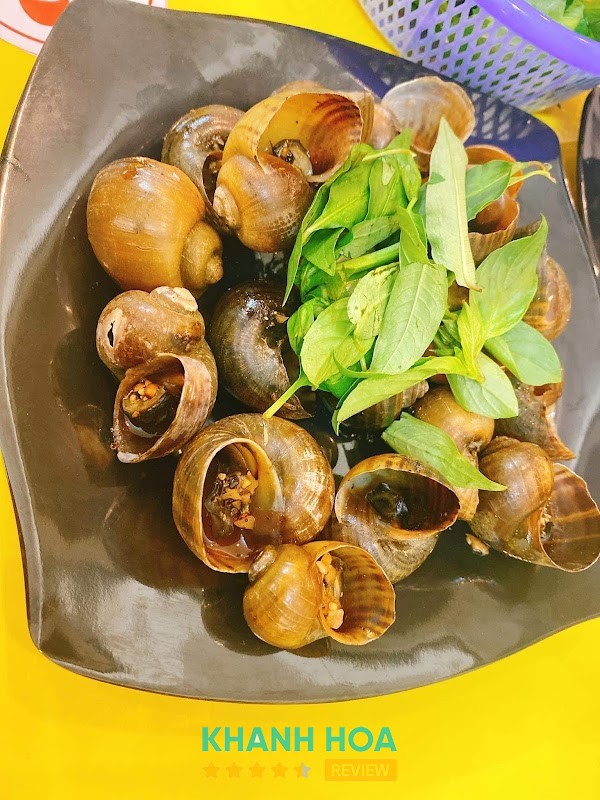 Tiệm Ốc Bii Ninh Hòa – hình ảnh 3