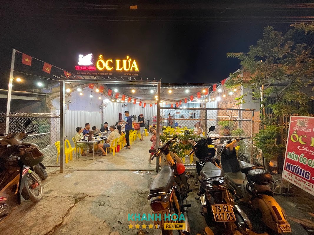 Ốc Lửa Ninh Hòa – hình ảnh 3