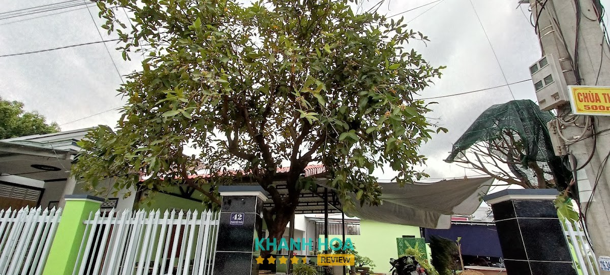 Cafe Trà Sữa 42 Ninh Hòa – hình ảnh 2