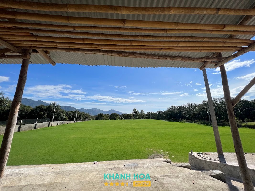 Cam Arena – hình ảnh 3