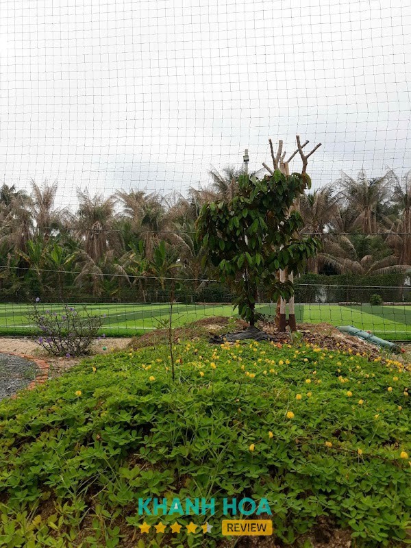 Sân Bóng Tomorrow KAKA Phan Rang