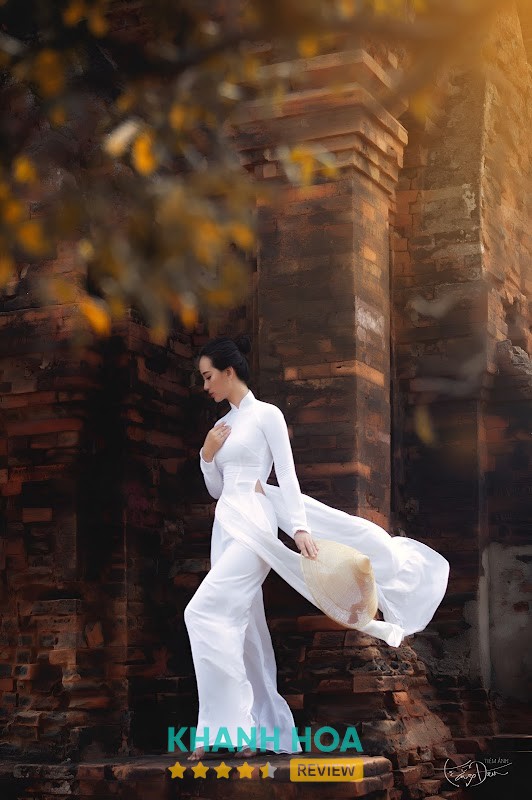 Áo Dài Việt – hình ảnh 3
