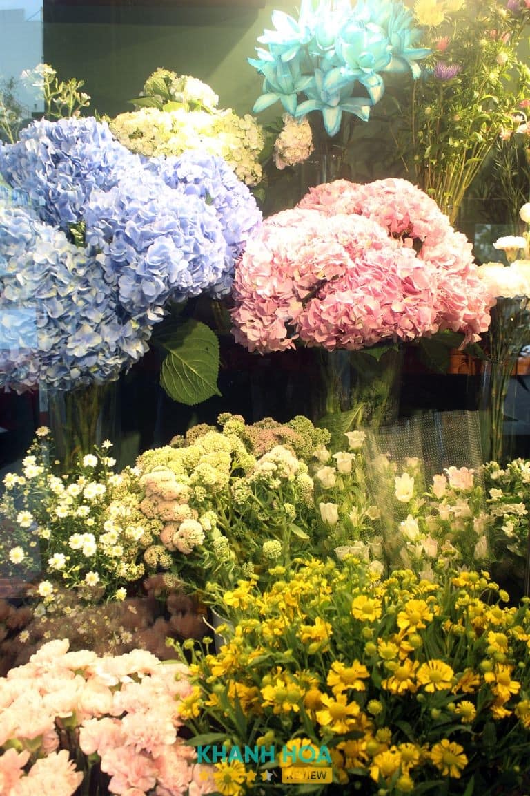 Jungle Flower Nha Trang – các mẫu hoa tươi và thiết kế hoa