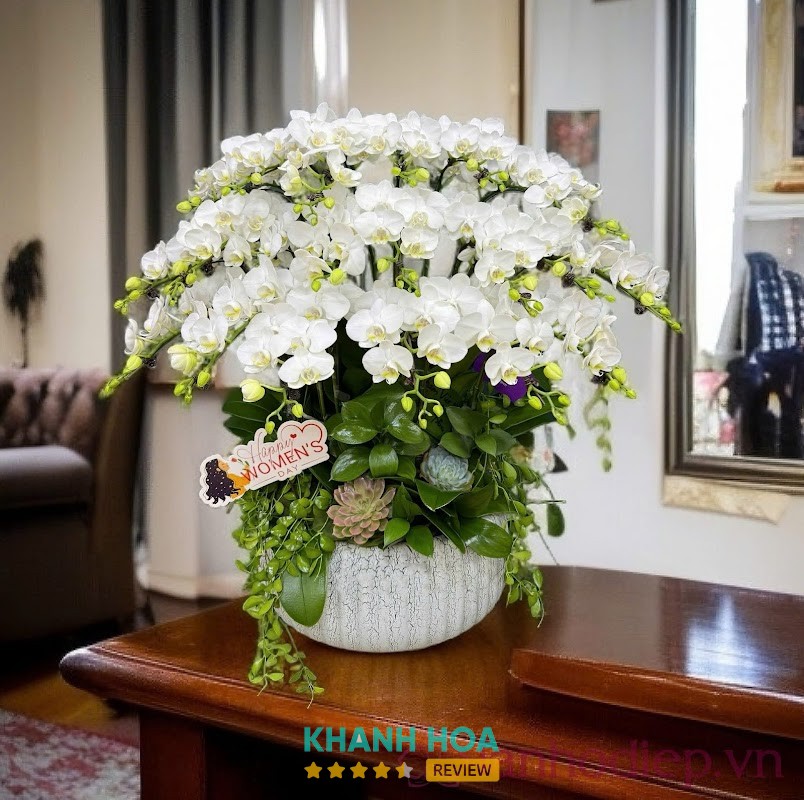 Hoa Lan Hồ Điệp TP Cam Ranh - Siin Store – 01 Nguyễn Công Trứ, Bắc Cam Ranh, Khánh Hòa 57000, Việt Nam hình ảnh 3