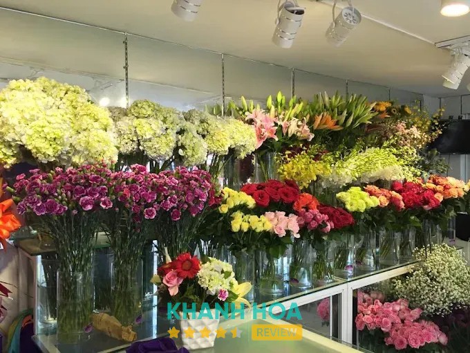 Hoa Tươi Bích Loan Cam Linh