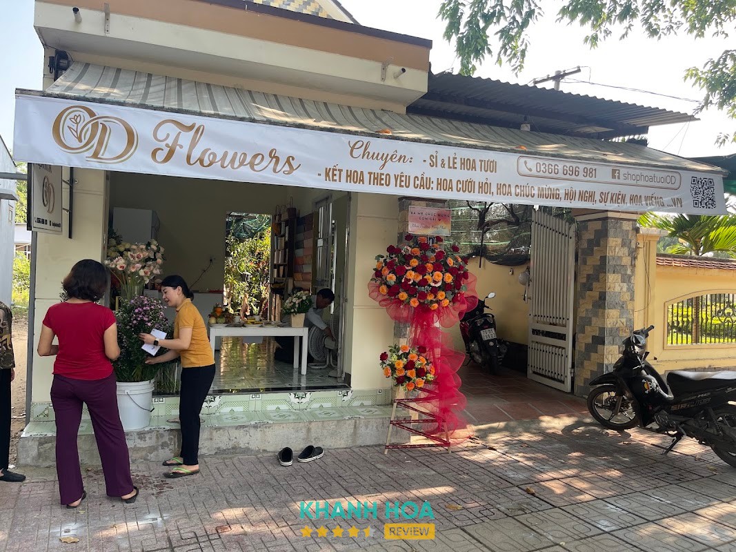OD Flower - Shop Hoa Tươi Nha Trang, Diên Khánh