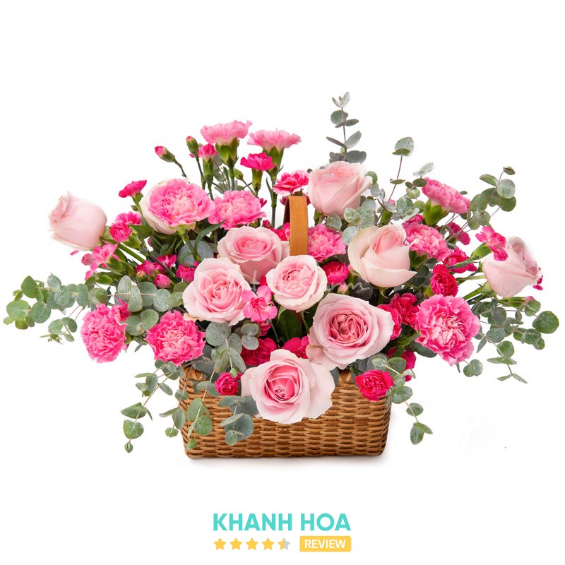 Anh Flower - Hoa Tươi Nha Trang Tây Nha Trang