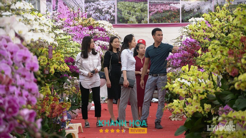 Shop Hoa Tươi Vạn Ninh Khánh Hòa – hình ảnh 2
