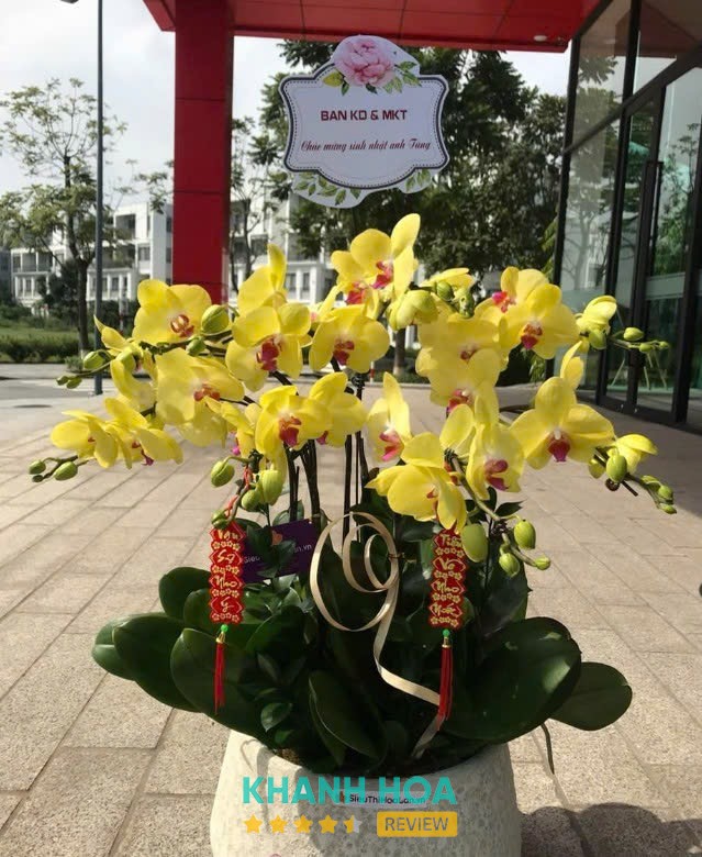 Shop Hoa Thanh Nhã - Chi Nhánh Nha Trang – hình ảnh 1