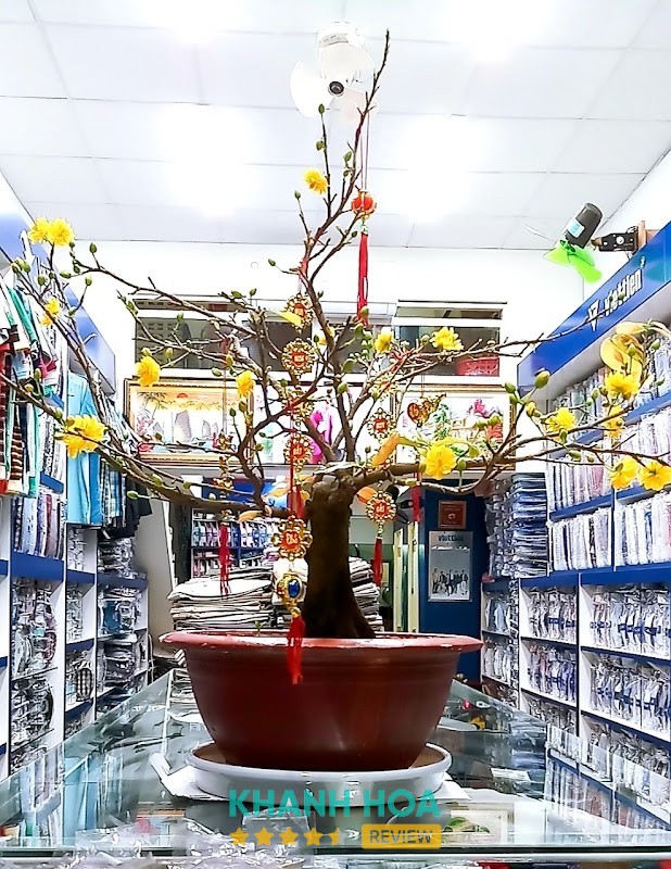 Đại Lý Thời Trang Việt Tiến hình ảnh 2