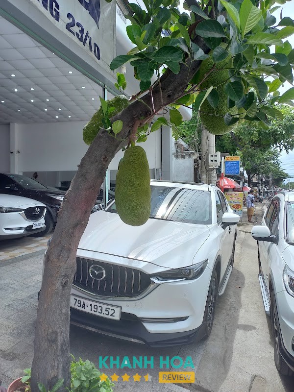Tâm Thiện Auto - hình ảnh 3