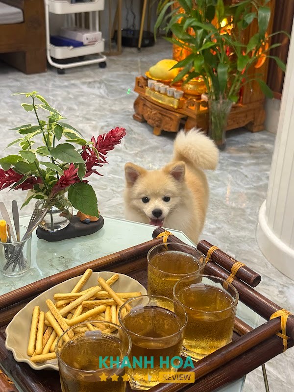 Mộc Spa Massage – hình ảnh 2