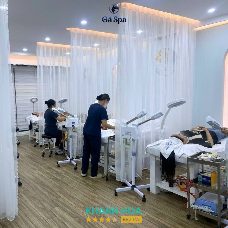 Gà Spa Nha Trang – hình ảnh 2