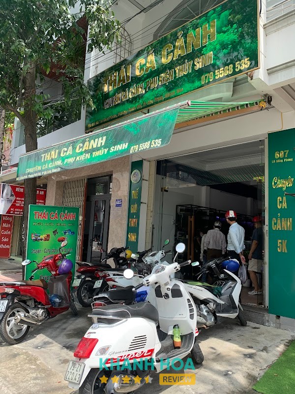 Thái cá cảnh Nha Trang