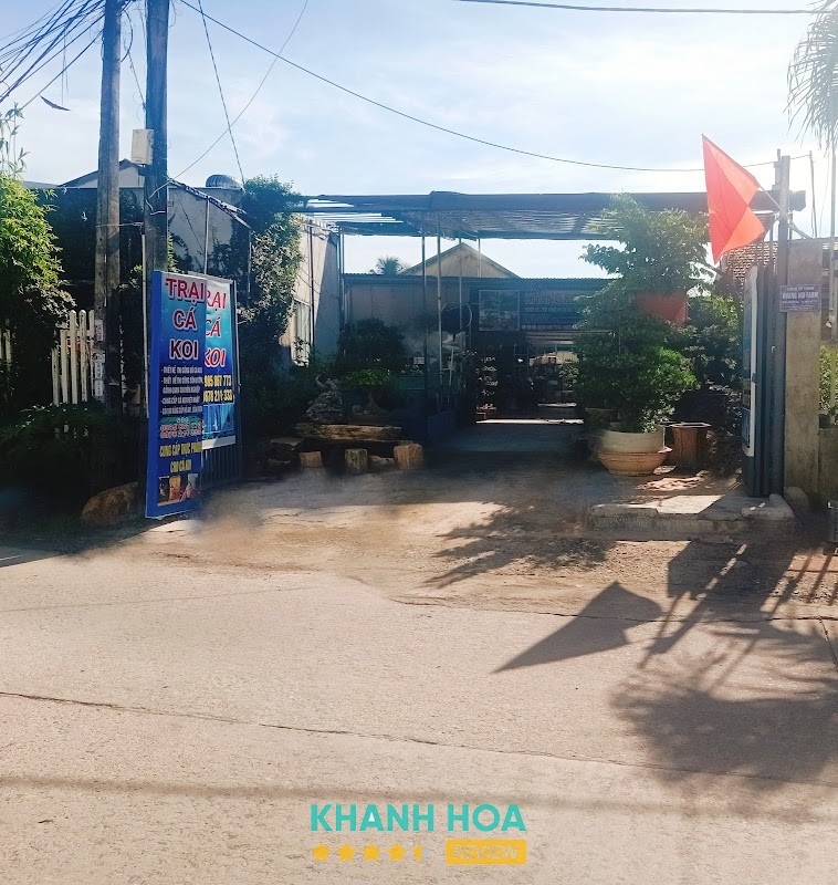 Trại cá Koi Khang Koi Farm Nha Trang