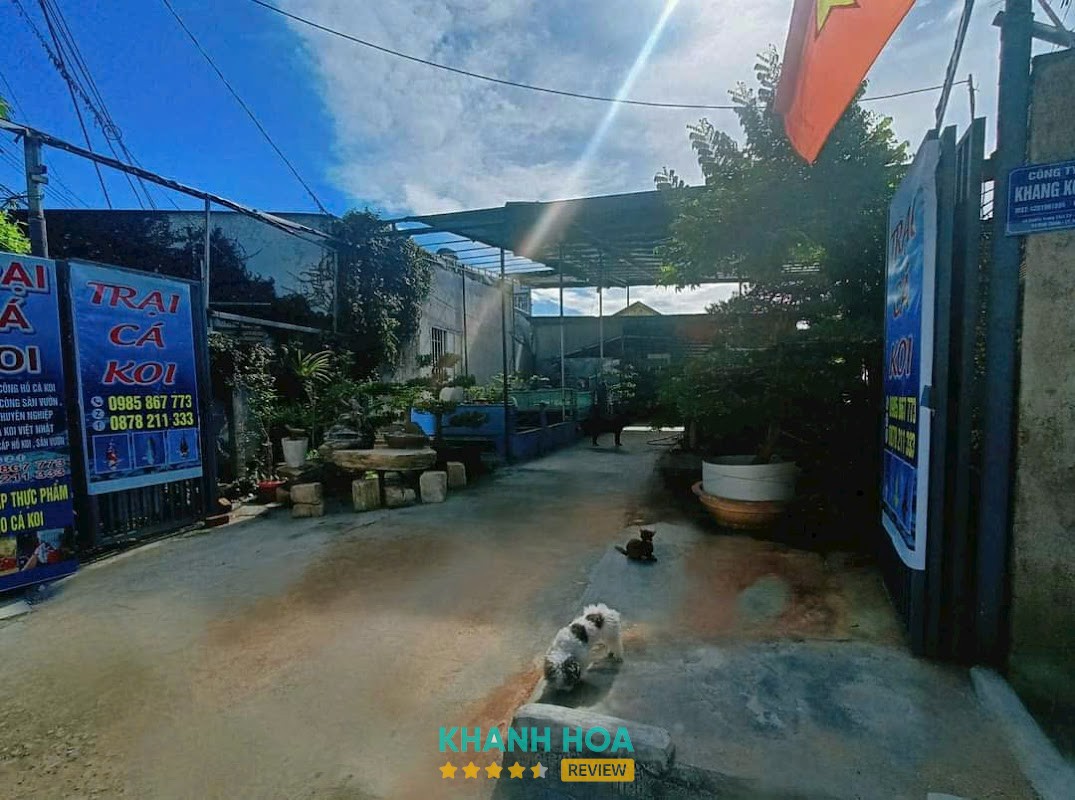 Trại cá Koi Khang Koi Farm – hình ảnh 3
