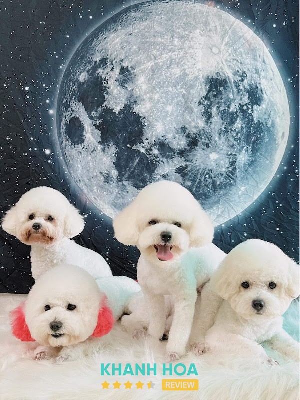 Luna Petshop - Phan Rang hình ảnh 3