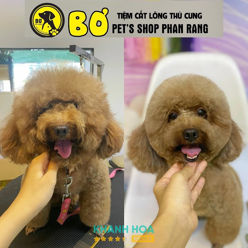 Bơ Pet’s Shop Phan Rang hình ảnh 2