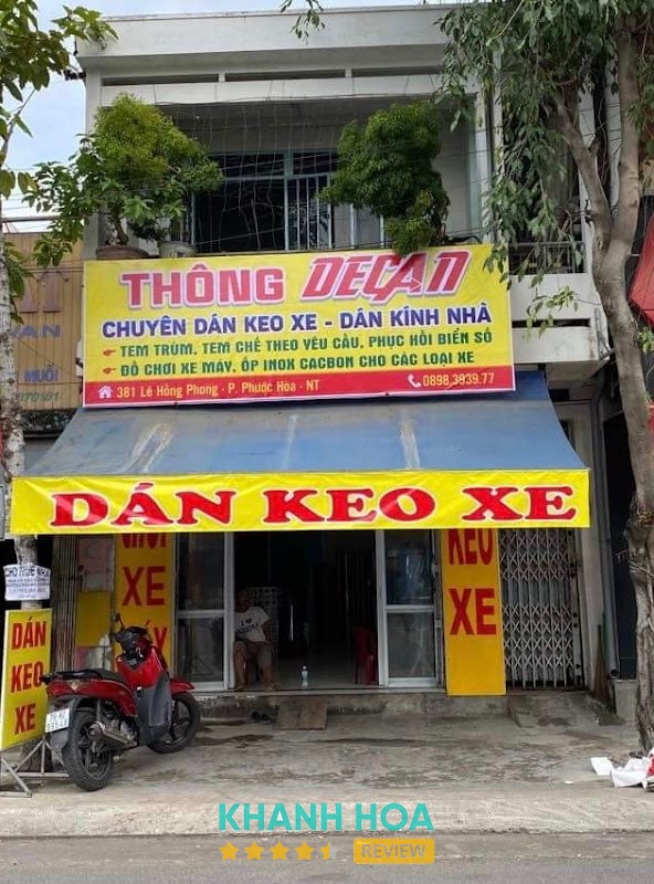 Thông Decan Nha Trang – hình ảnh 3