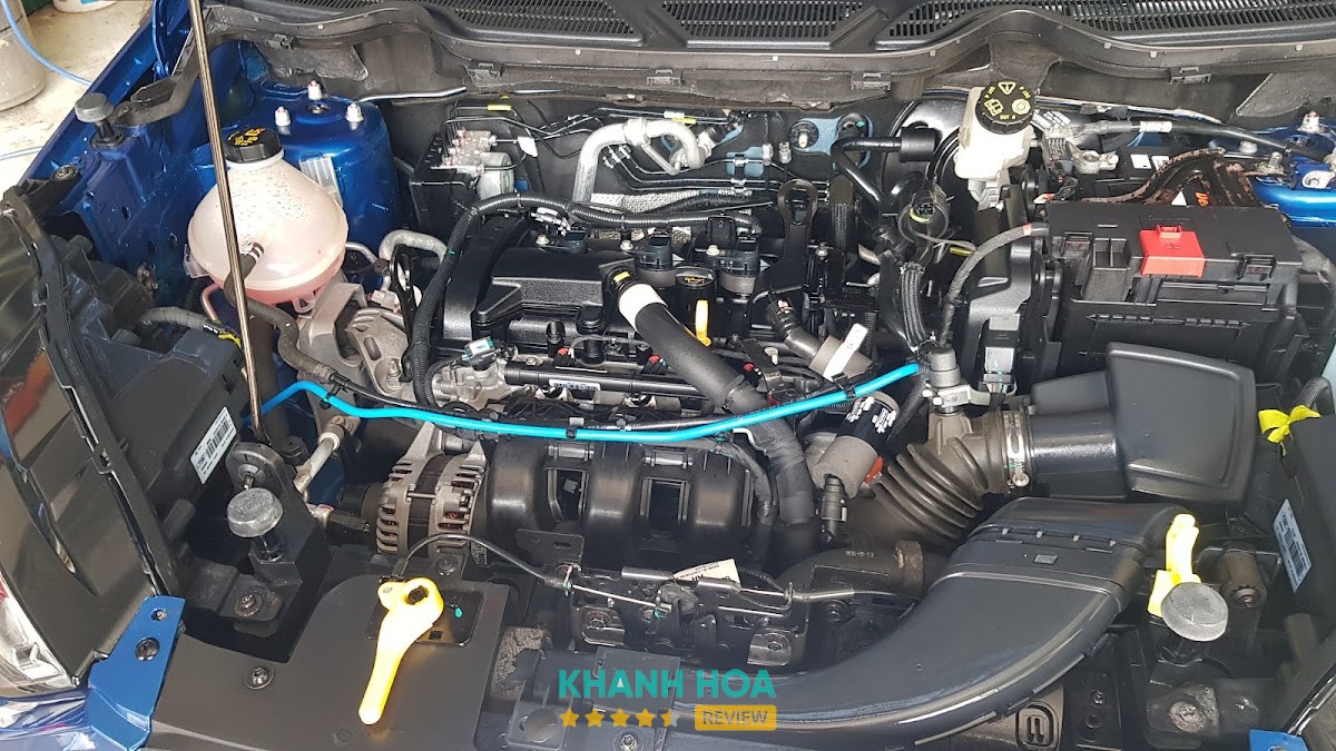Dịch vụ rửa và chăm sóc ô tô tại LS