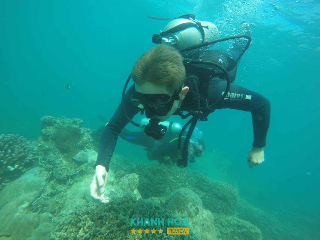 Hoạt động lặn biển tại Vietnam Active Nha Trang