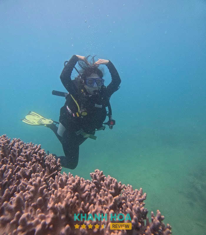 Vietnam Diving and Training Nha Trang